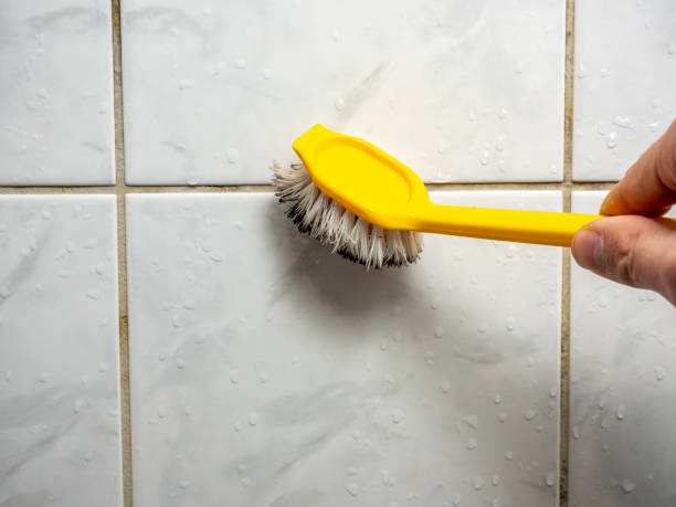 Best Affordable Mold Removal  in Brownsville, LA