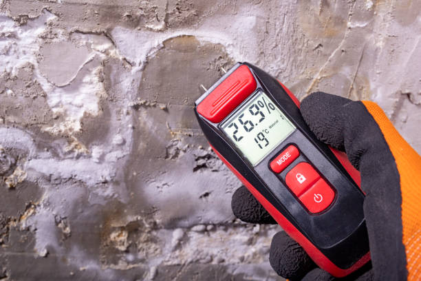Best Mold Removal Company Near Me  in Brownsville, LA